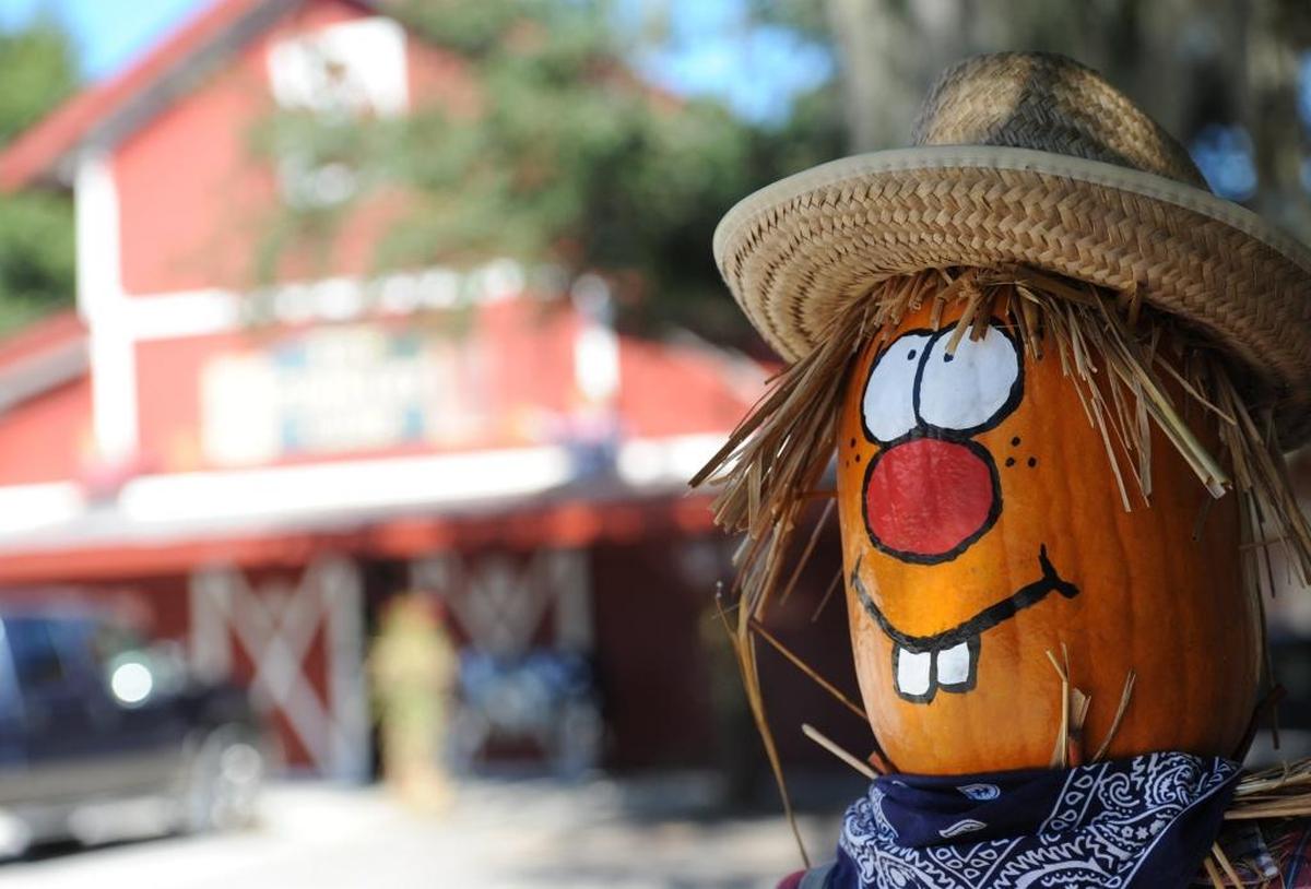 The Hunsader Farms Pumpkin Festival, which takes place each weekend in October, features live entertainment, crafts, food vendors, petting zoo, and pumpkins.