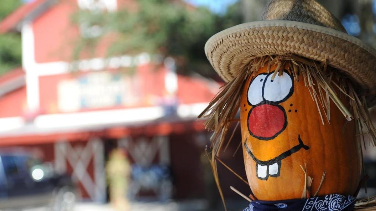 The Hunsader Farms Pumpkin Festival, which takes place each weekend in October, features live entertainment, crafts, food vendors, petting zoo, and pumpkins.