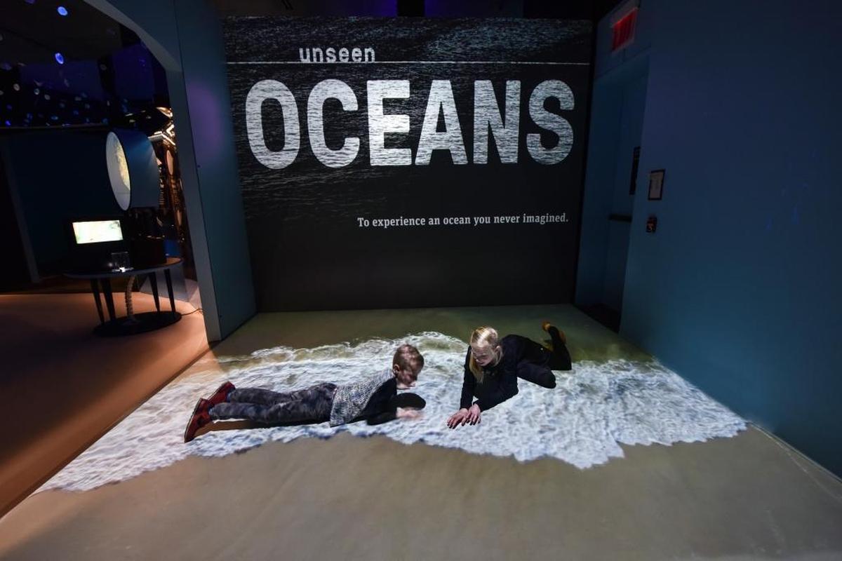 A photo provided by the American Museum of Natural History of its latest exhibition, “Unseen Oceans,” which welcomes visitors with a projection of sand and surf. “Unseen Oceans” shines a light on the animals that call the ocean home and the humans who study them.