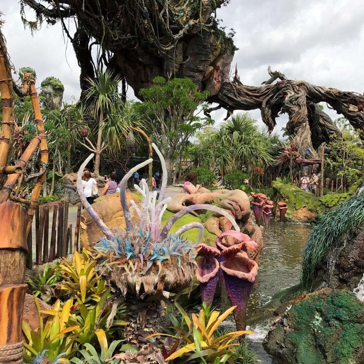 In Pandora, real-world flora is woven in with creations from the movie “Avatar.”