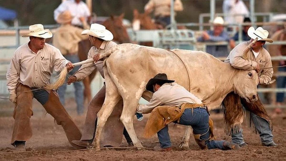 The ninth annual Cattlemen’s Ranch Rodeo is Saturday at the Manatee County Fairgrounds in Palmetto.