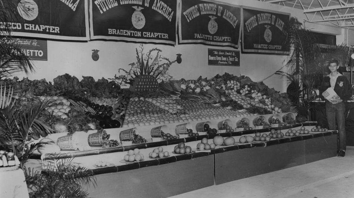 The FFA fair booth by Oneco, Bradenton, Palmetto and Manatee chapters is shown in the early 1950s.