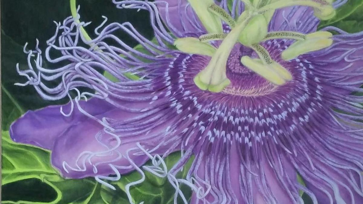 “10byTEN at the Studio,” a community exhibit sale and fundraising event is Nov. 1-Dec. 23 at The Studio at Gulf and Pine,10101 Gulf Drive, Anna Maria. Above: Artwork by Joyce Karp.