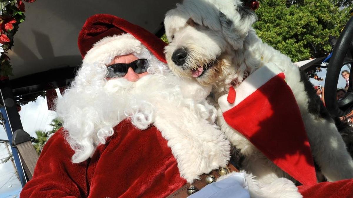 An Old English sheepdog sits with Santa Claus at the Christmas on Bridge Street event in Bradenton Beach.