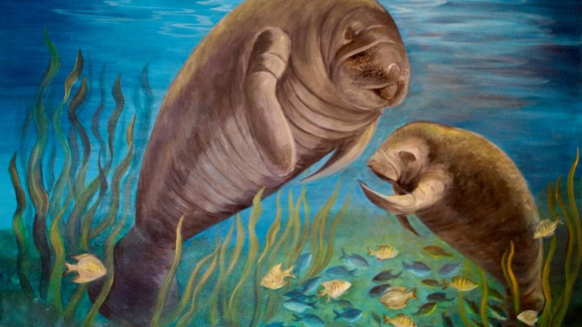 Bradenton artist Maria Sine presents “Land and Sea,” an exhibit of vibrant acrylic and watercolor paintings of distant lands and the creatures found in and around our local waters through Dec. 30 at Island Gallery West, 5368 Gulf Drive, Holmes Beach.