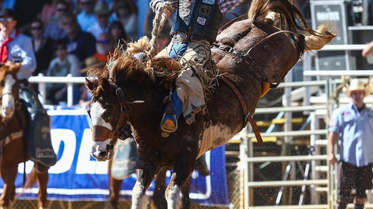 The Arcadia All-Florida Championship Rodeo will host the Cattleman’s Ranch Rodeo 6 p.m. July 28-29 at Arcadia Rodeo Arena, 124 Heard St., Arcadia. The event will feature cowboys and cowgirls from local ranches performing every day duties such as sorting, branding, bronc riding, double mugging and the cow hide race.