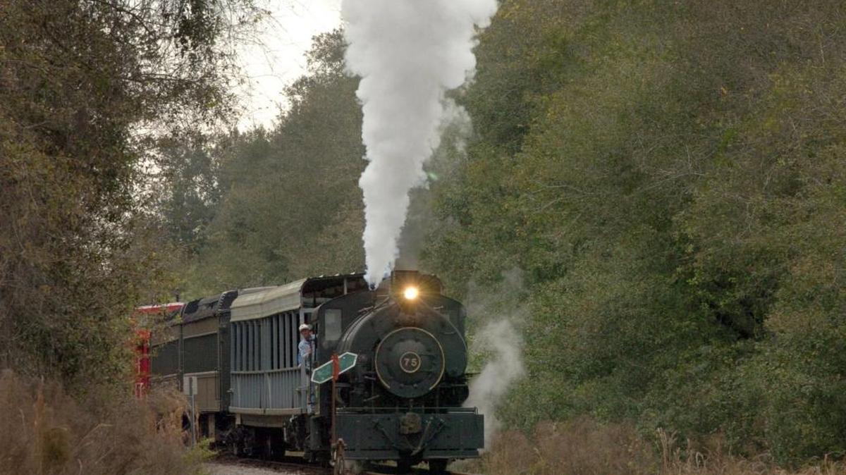 The Florida Railroad Museum will hold a civil war re-renactment 11 a.m. and 2 p.m. Sept. 30 and Oct. 1. The camp grounds open at 10 a.m., and admission to the camp is free. Learn about the camp and the soldiers who occupied them during this period of our country’s history. After your tour through history, ride onboard the train for a battle between the Confederates and Union soldiers. Tickets are $14 children 3-11, $18 adults. www.frrm.org.