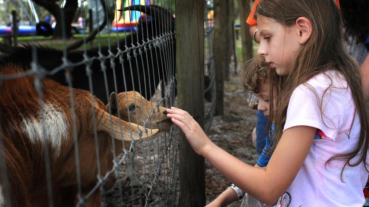 Celebrate National Diary Month at Dakin Dairy Farms’ “Dairy Day” Festival 10 a.m.-5 p.m. June 4. The farm is at 30771 Betts Road, Myakka City.