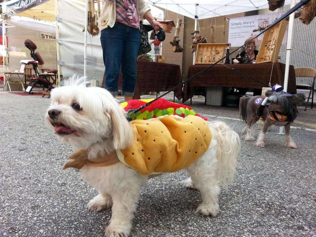 The Bradenton Farmers’ Market will hold a judged “Howl’ween Pet Parade,” featuring a line of pooches with their owners strutting down the street in Halloween costumes, on Saturday.