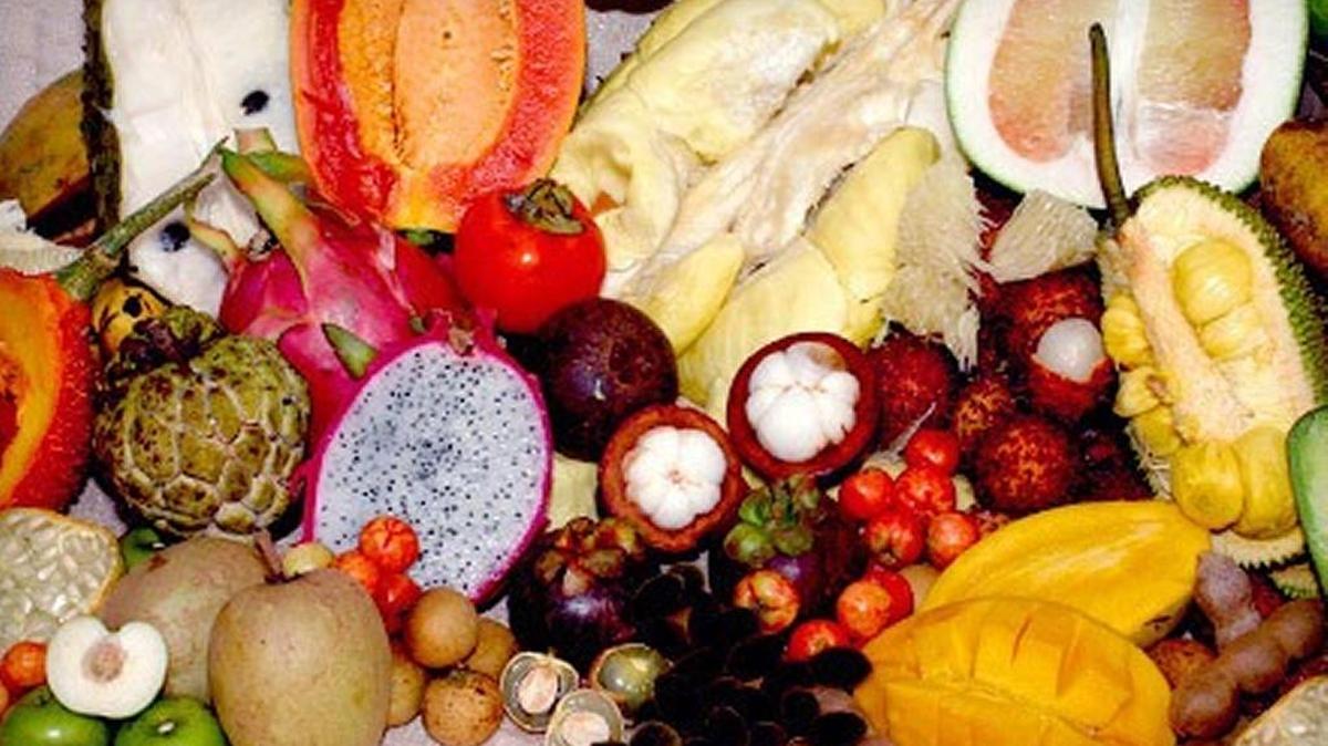 Sample numerous fresh tropical fruits from around the world at the 22nd annual Tropical Fruit Tasting “Taste of the Tropics,” 10 a.m.-4 p.m. July 15-16 at Jenes’ Tropical, 6831 Central Ave., St. Petersburg.