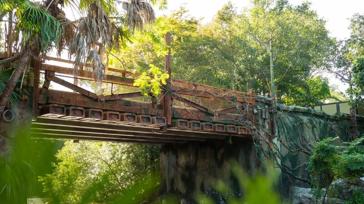 Scaffolding has just been taken down from the bridge that will connect Pandora -The World of Avatar to the rest of Disney’s Animal Kingdom.
