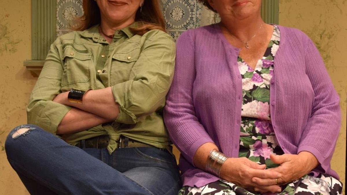 Rita Rehn, left, and Jo Twiss star in the Florida Studio Theatre’s production of “The Roommate.”