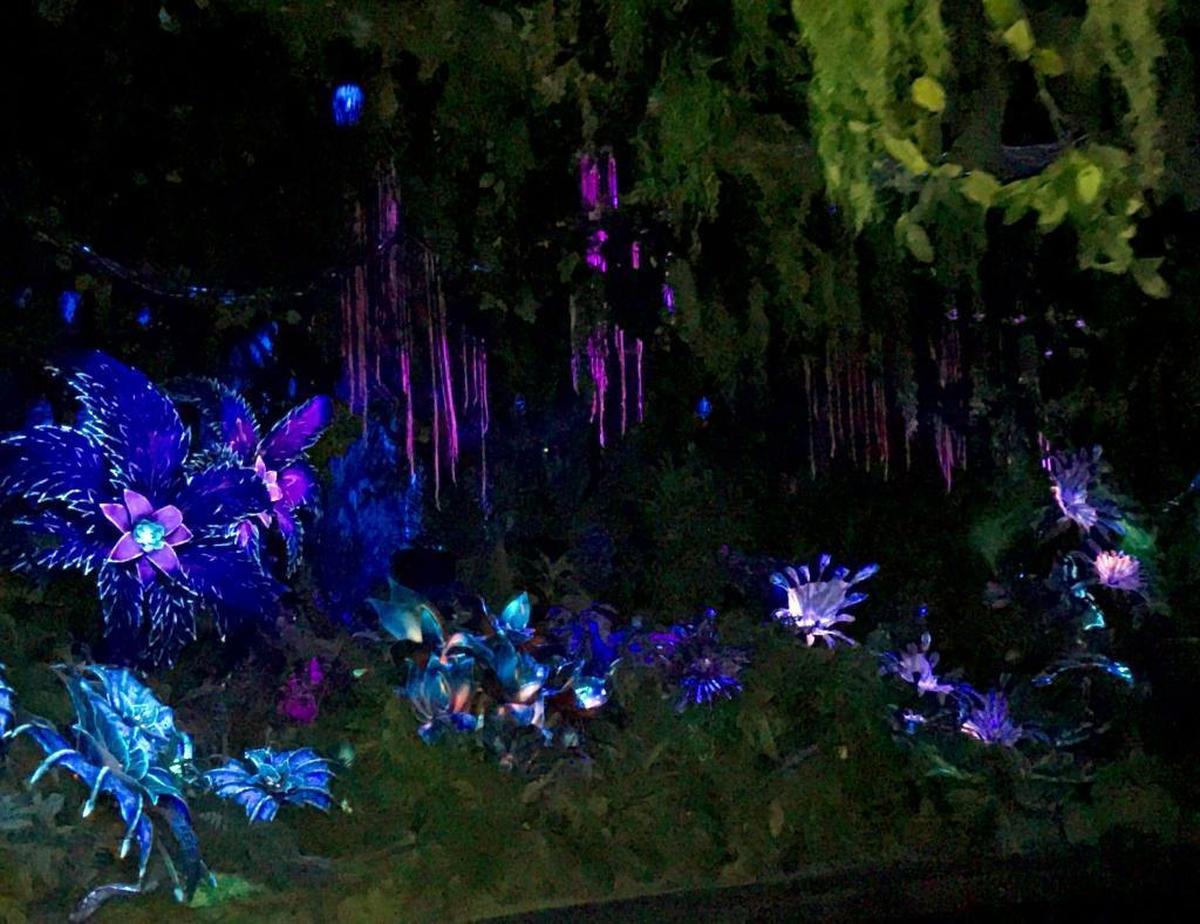 Bioluminescent plants along a sacred river on the Na’vi River Journey in Pandora: The World of Avatar.