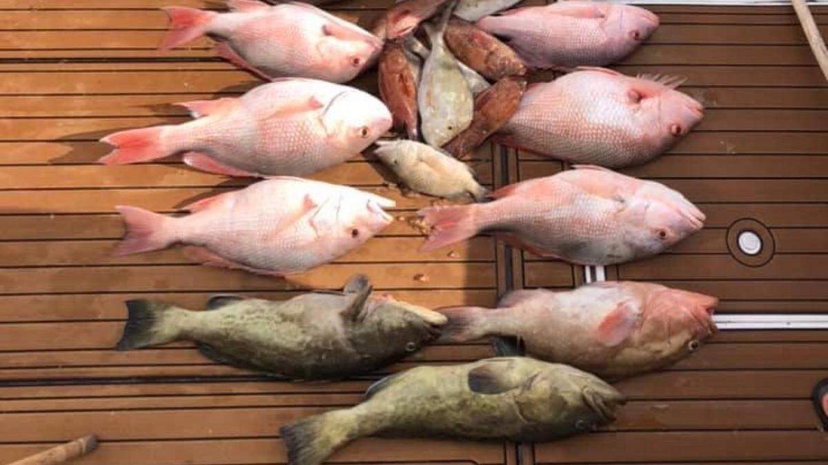 Capt. Ryan Amaturo of Reel Nauti Fishing Charters shows off his opening day red snapper haul aboard his private charter vessel “Dirty Secret.” It includes a limit of red snapper with a few gag grouper and pile or mangrove snapper.
