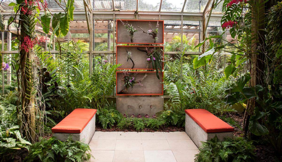 “Endless Forms” at Selby Gardens features rare and tropical species of orchids displayed in unusual patterns. The show runs through November 25.