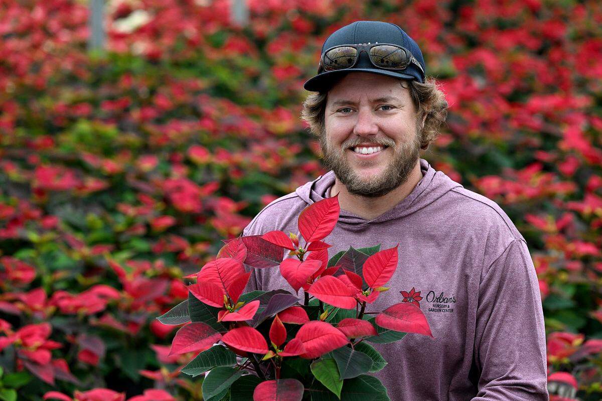 Tyler Orban, the fourth-generation owner of Orban’s Nursery with some holiday poinsettias.