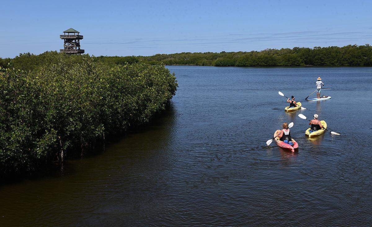 Manatee County commissioners have discussed an expansion of the county’s fertilizer ordinance, first established in 2011, to prevent pollution to area waterways. Runoff of excess nutrients can feed harmful algal blooms like red tide and Lyngbya.