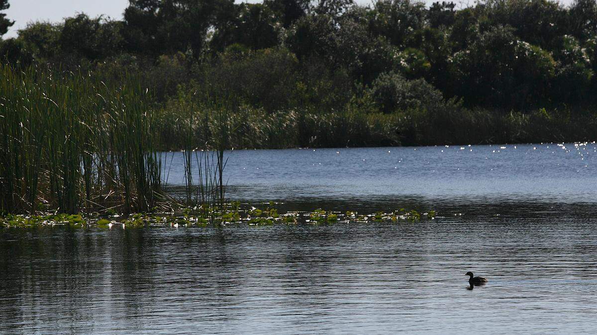 The waters of the Evers Reservoir seen from Jiggs Landing in this file photograph. 
 TIFFANY TOMPKINS/Bradenton Herald