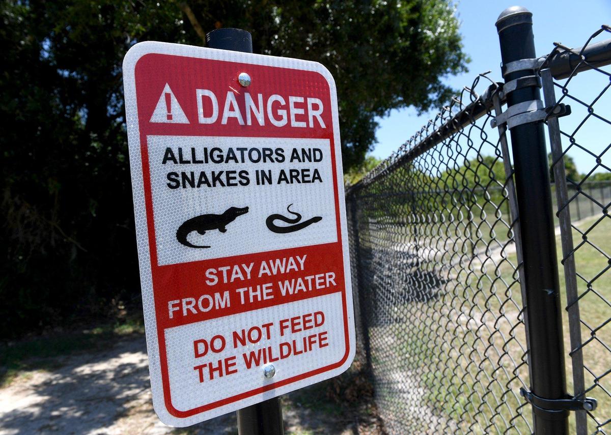 Manatee County officials put up signs warning visitors to Dog Leg dog park near Buffalo Creek Park in Palmetto, FL that gators could be in the water behind the park. The signs were installed after community complaints.