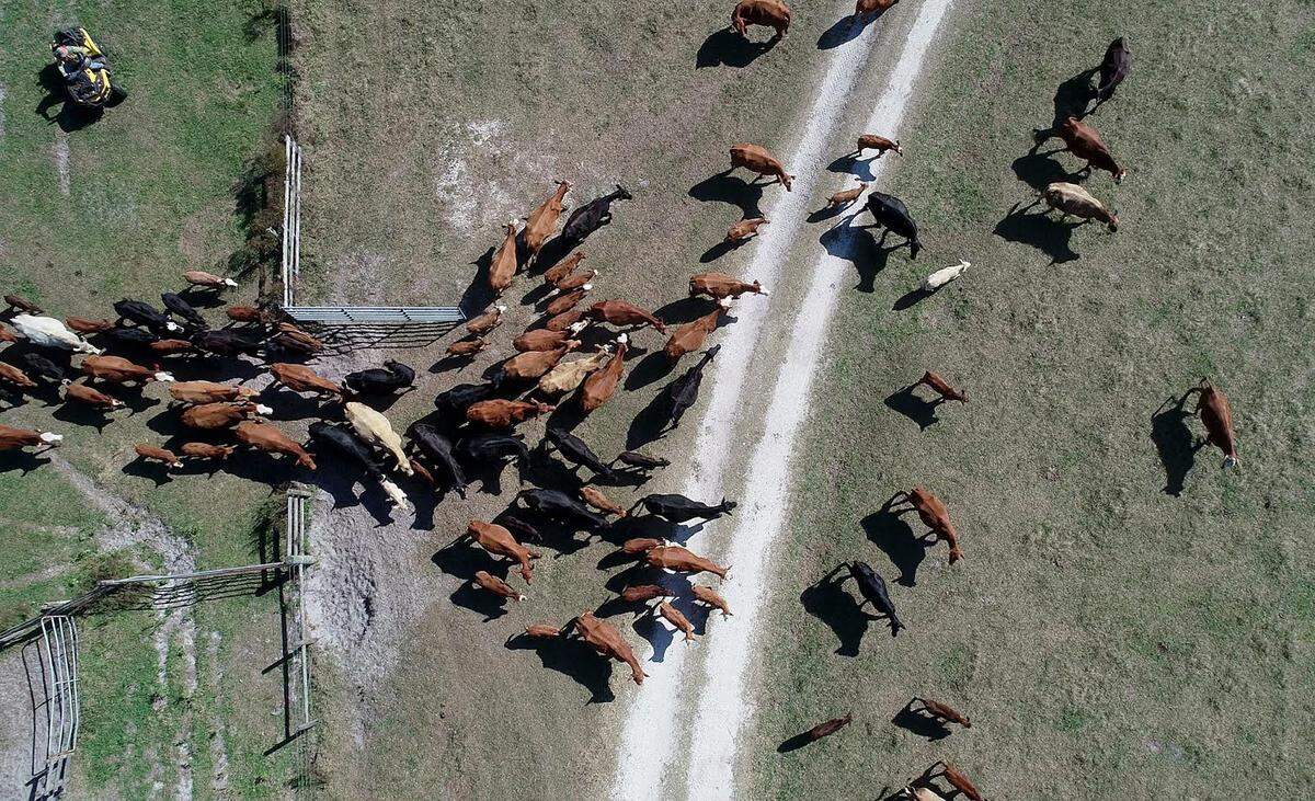 Blackbeard’s Ranch LLC ranks ninth among Manatee County property owners with 4,468 acres.