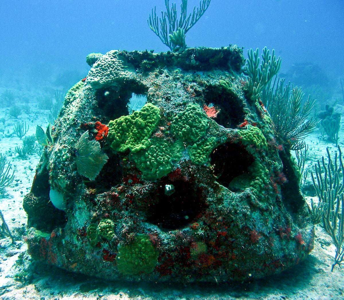 An eternal reef ball underwater after 4 years.