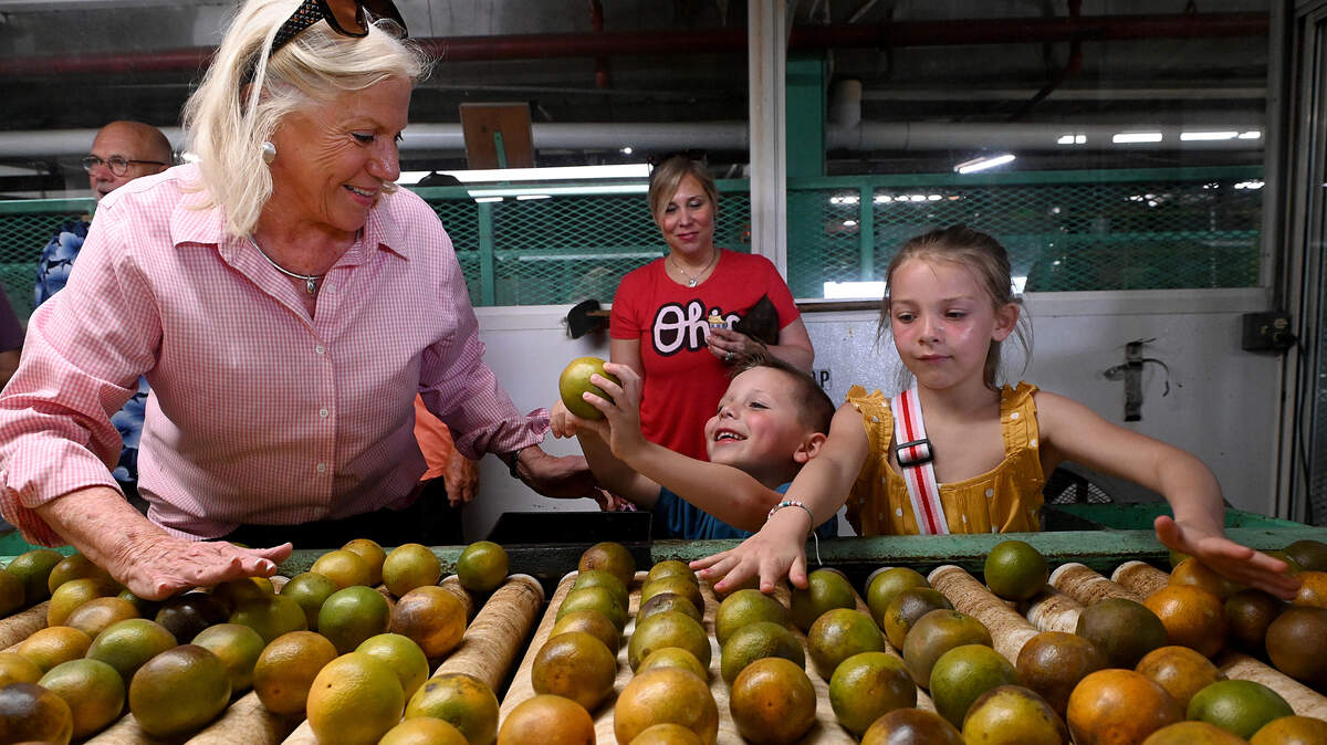 Mixon Fruit Farms co-owner Janet Mixon with visitors Camden and Harper Alexander, 5 and 7 years old, as they sort through oranges during the last orange juice run for the iconic Bradenton business.