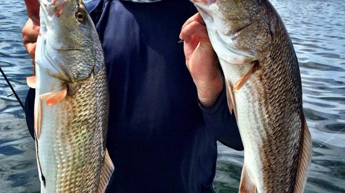Alex Moone holds two redfish plucked out of Tampa Bay waters with Capt. Steve Brownlee. PROVIDED PHOTO
