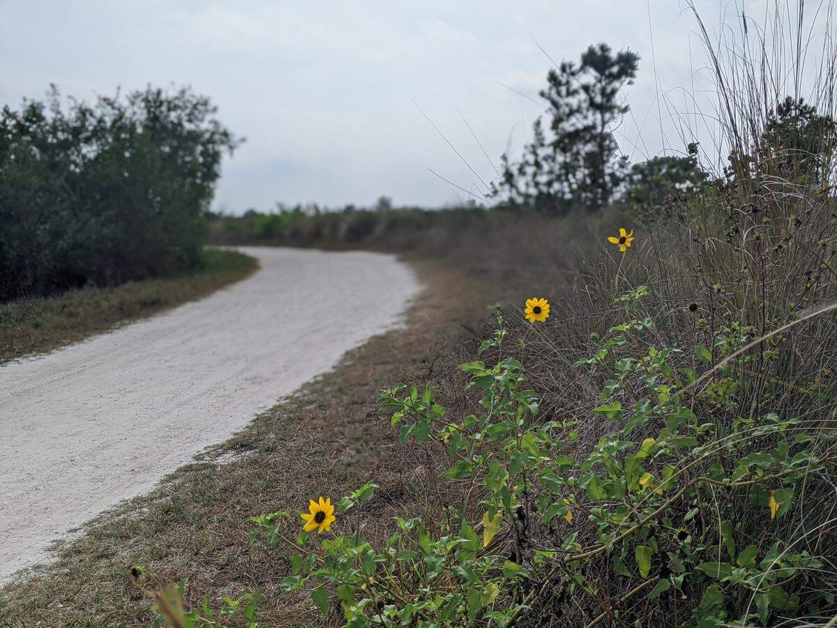 Getting outdoors while also maintaining safe social distance remains possible in a number of natural areas around Bradenton and Manatee County — such as the recreational trails at Robinson Preserve.
