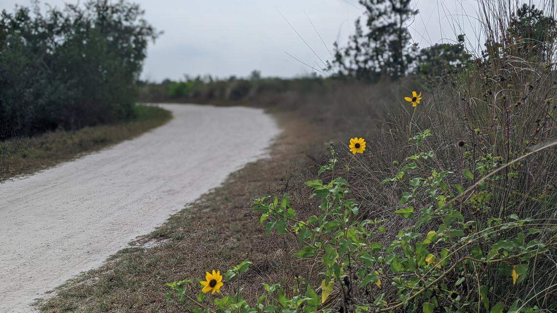 Socially-distanced fun: 5 things to do around Bradenton this weekend