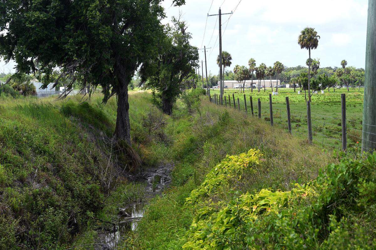 After being reported missing days ago, the body of Stephanie Shenefield was discovered in a ditch in Palmetto. Manatee County Sheriffs Office has arrested William Redden in connection to Shenefield’s death.