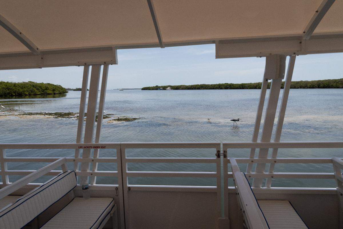 Two 50-foot catamarans have arrived for the long-awaited water taxi service to beaches in Manatee County Florida Gulf Coast.