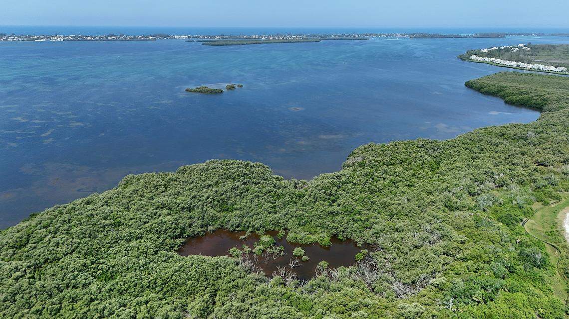 Manatee County officials moved forward with a new plan Tuesday to immediately restore local wetland protections that were removed in 2023. County staff had previously advised that the process would take months.