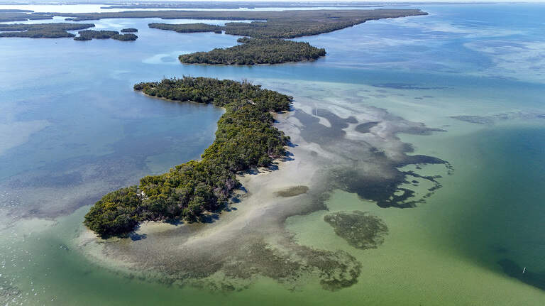 Where would a new Florida cruise ship port go? Take a closer look