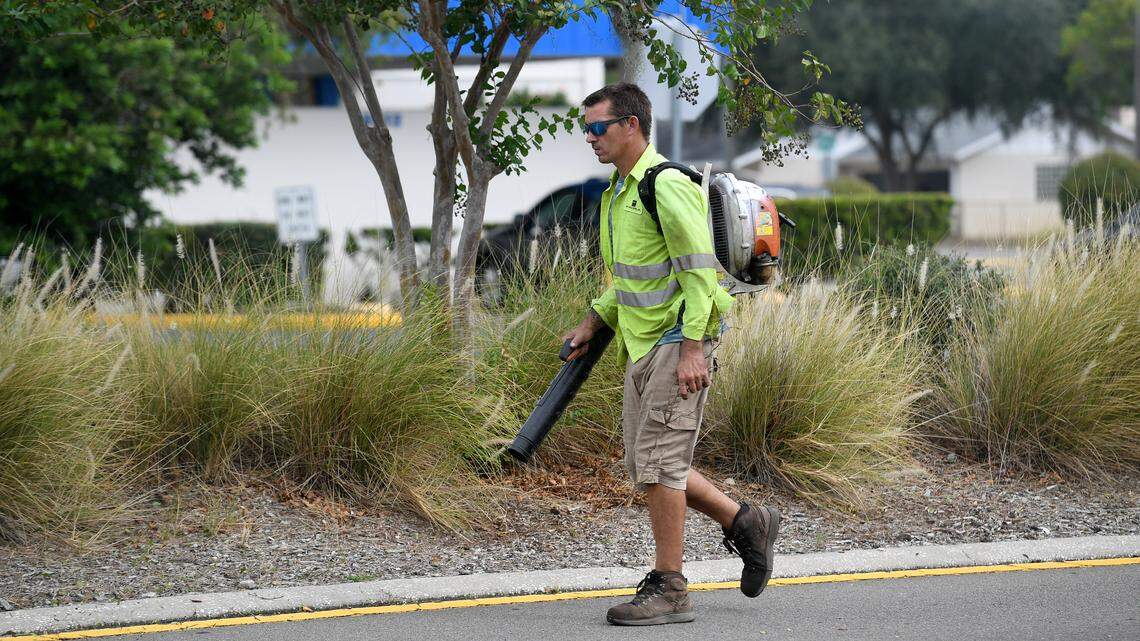 A lawn care worker blows leaves from Manatee Avenue as a crew works on the median upkeep.