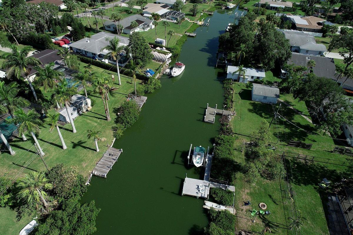 Blue-green algae was found in some water samples tested by the Department of Environmental Protection in June, though no toxins were present in samples.