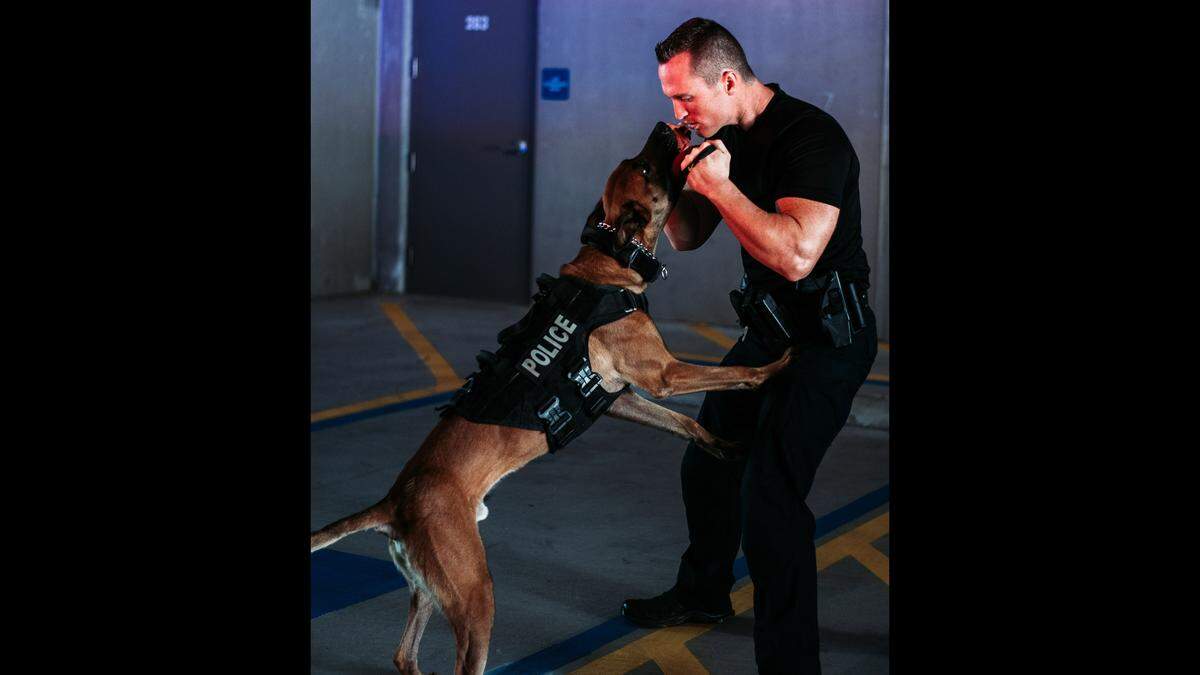 K9 Drax died on Tuesday morning alongside Officer Brandon Smolarz, his “partner and best friend,” Bradenton Police Department said.