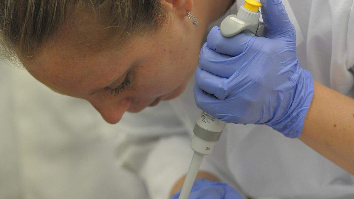 Student Nicole Soler loads a sample of a recently discovered bacteria organism, which is called "Pink," into gel a box to extract its DNA during an Introduction to Bio Technology Methods class Thursday at State College of Florida. 
 GRANT JEFFERIES/Bradenton Herald