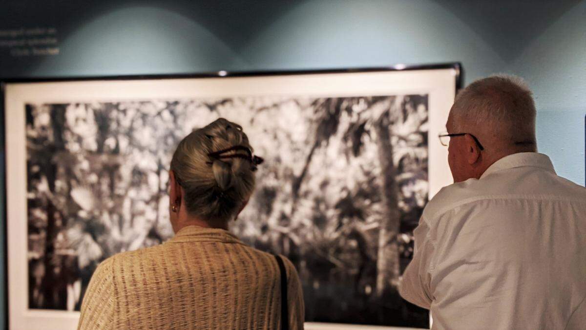 A new exhibit of Clyde Butcher photographs at The Bishop Museum of Science and Nature in Bradenton invites viewers to experience Myakka River and the wilds that surround it in a new light.