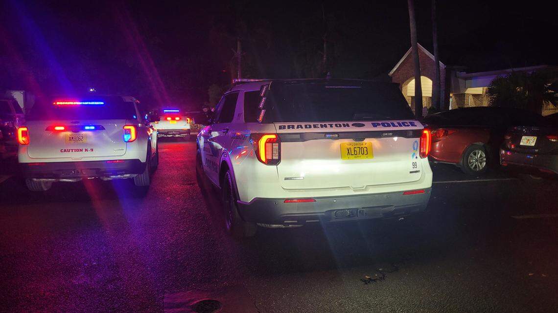 Bradenton woman charged after 4-year-old drowns at pool party, police say