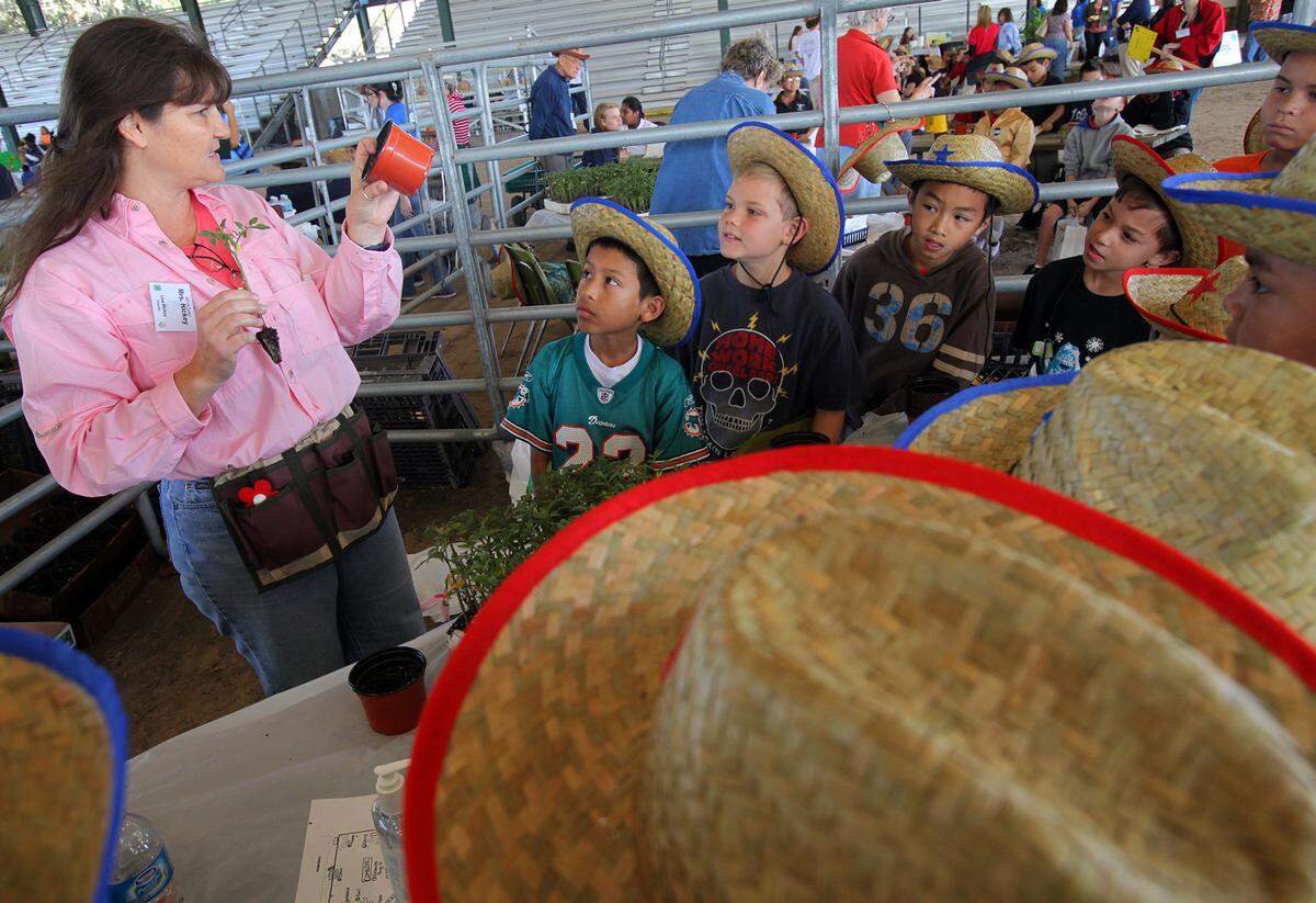 TIFFANY TOMPKINS-CONDIE/ttompkins@bradenton.com Lisa Hickey teaches students from Virgil Mills Elementary School about how to raise tomato plants at the Manatee County Fairgrounds in Palmetto during the Ag Venture 2011.