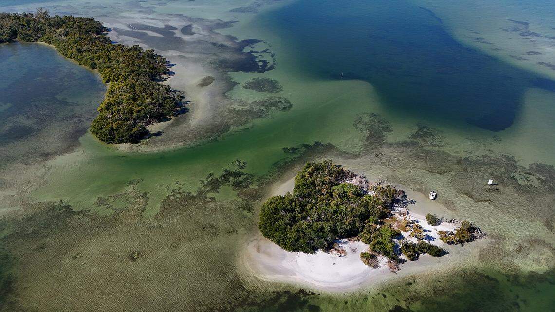Looking south from Paradise Island towards Skeet Key on Feb. 9, 2026. State agencies and local experts say that the undeveloped area is a haven for a bounty of wildlife, including rare, endangered and commercially important species. 