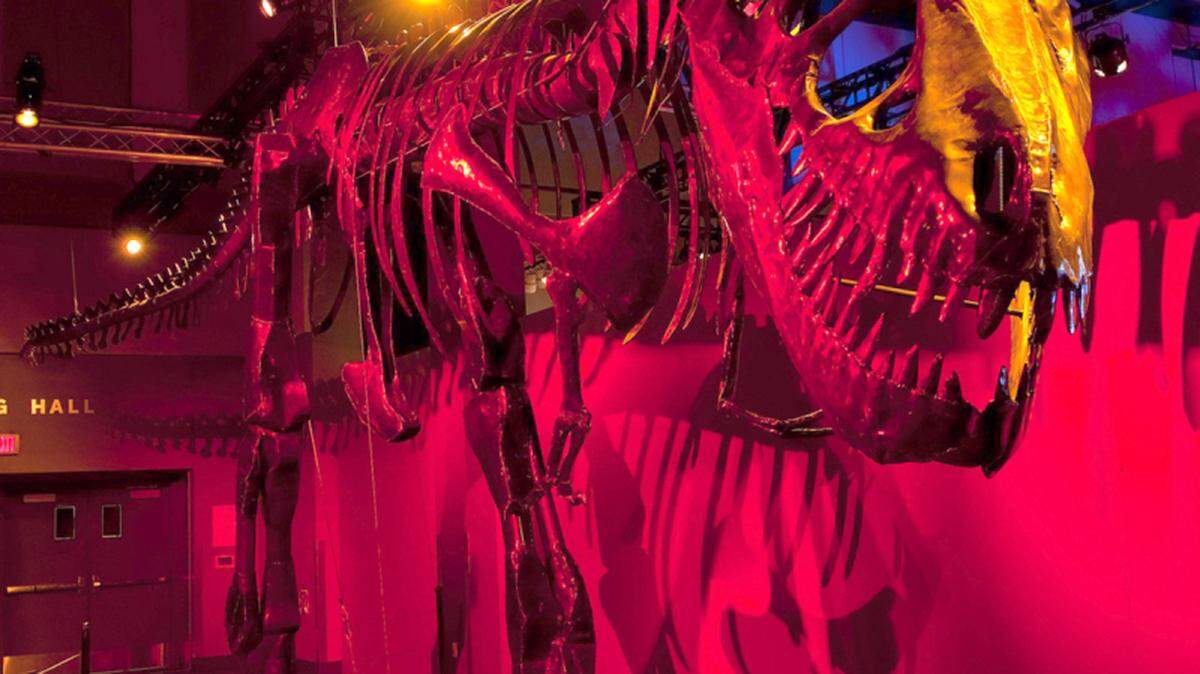 Snap the jaws of a T. rex, flap the fins of a Plesiosaur, and control millions of years at your fingertips as the Museum of Science & Industry in Tampa presents Dinosaurs in Motion. Art and science collide in this amazing limited engagement, opening Saturday. Using gears and levers, visitors take control of life-size, massive metal skeletons - including a 44-foot-long T. rex. Inside each steel sculpture, visitors can watch the mechanical parts at work as the dinosaurs move, showing S.T.E.A.M. (Science, Technology, Engineering, Arts & Mathematics) principles in action. 
 Admission to Dinosaurs in Motion is free to MOSI members and included with a general admission ticket. Information: mosi.org. PUBLICITY PHOTO