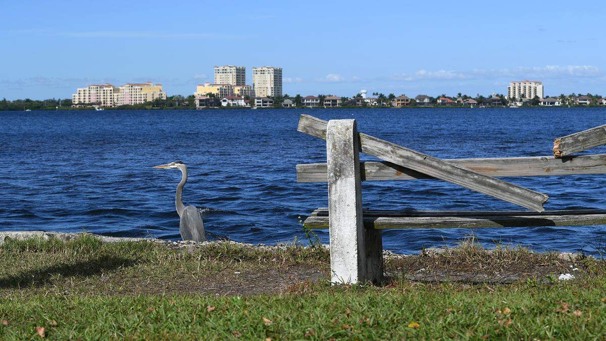 The Suncoast Waterkeeper environmental protection group is holding the city of Bradenton accountable for the sewage release and urging government leaders to share water quality testing results for the spill area.
