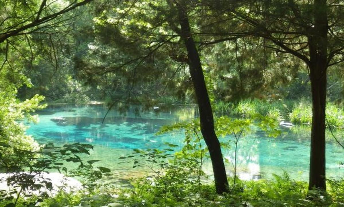 Ichetucknee Springs State Park.