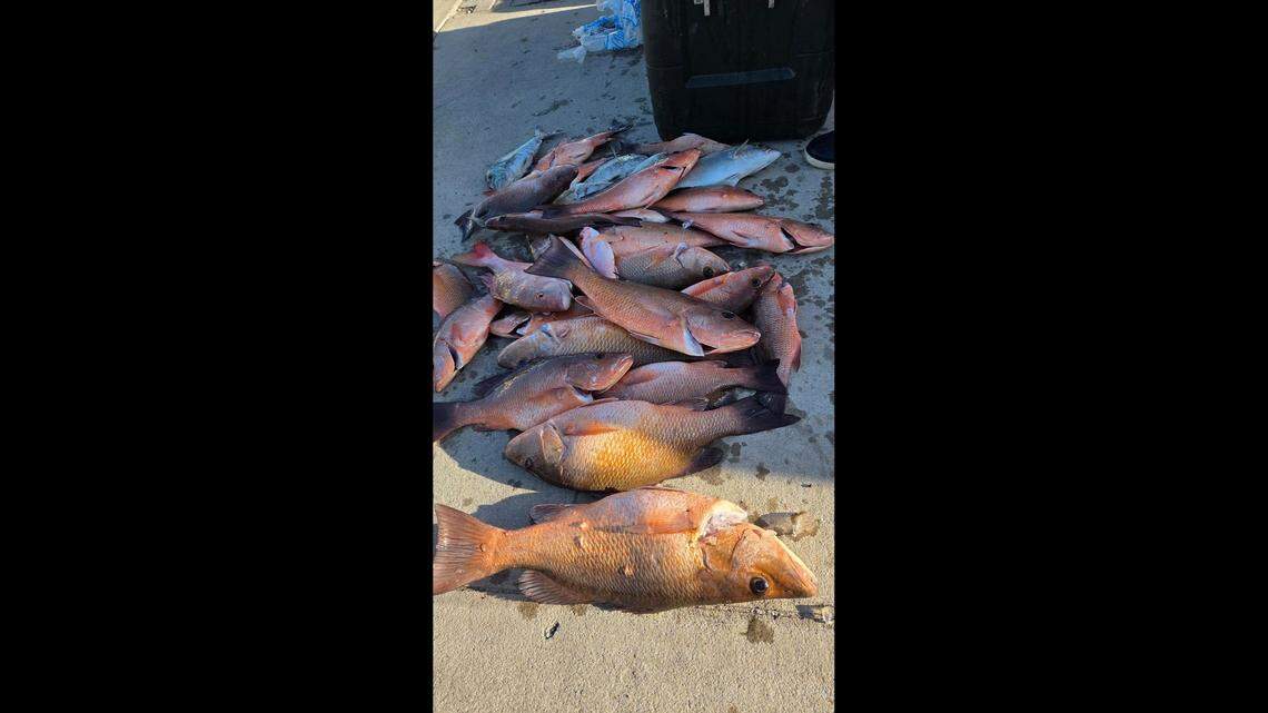 ‘Just keep cranking.’ Local anglers fight off sharks for snapper catch