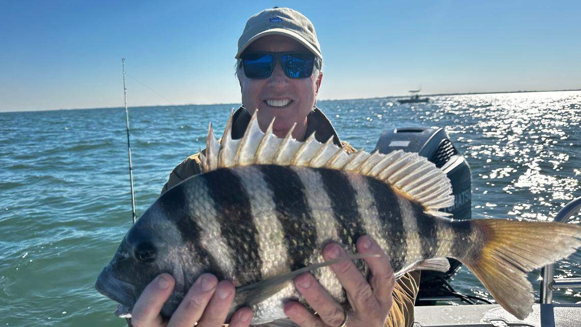 It’s the perfect time of year to catch this fish around Tampa Bay, Palmetto captain says