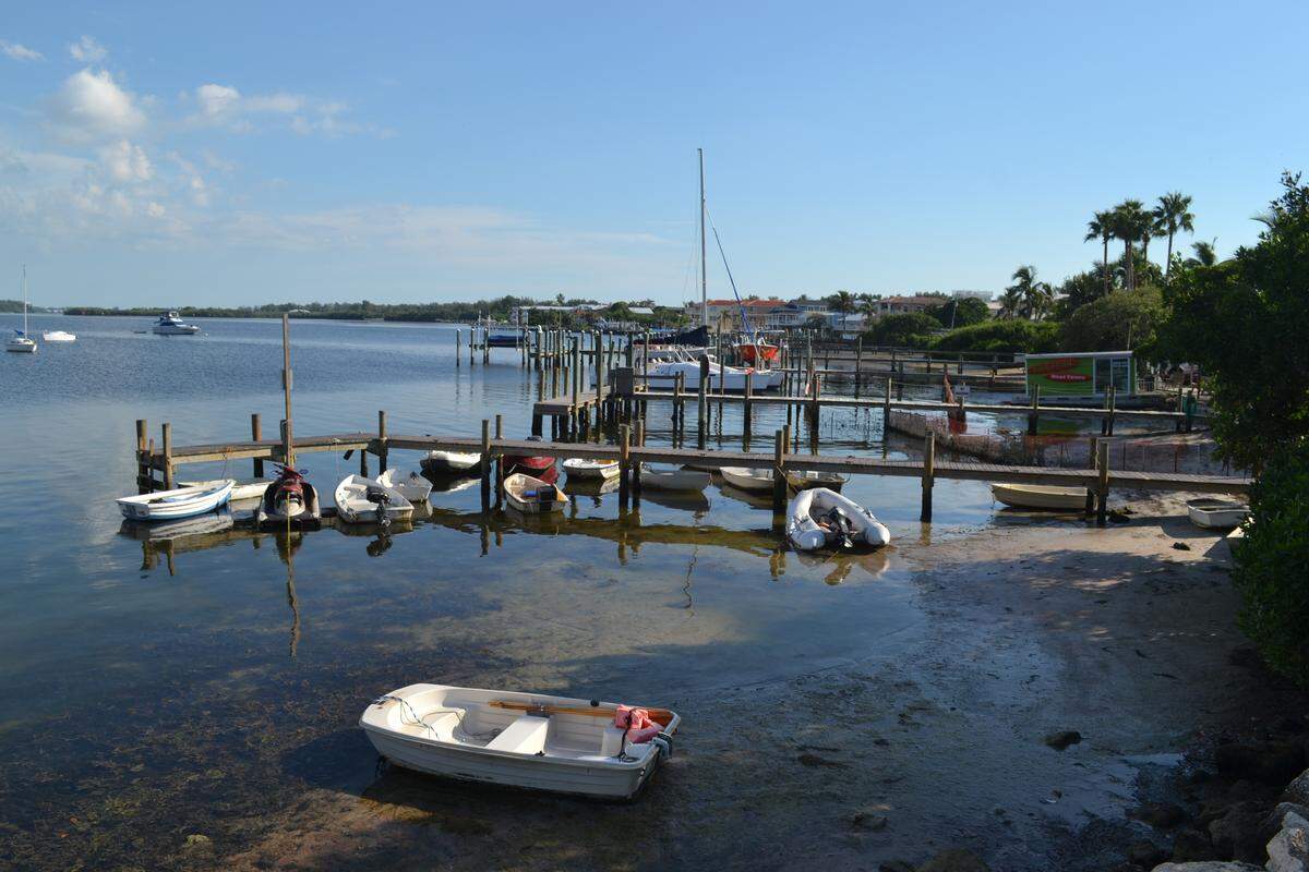 A view from the pier at the end of Bridge Street in Bradenton Beach, where the water appears to be clearer as signs of red tide recede.