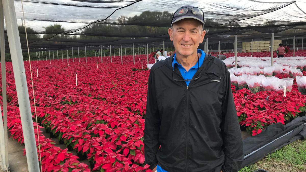 Marty Orban invites the public to an open house to see 160,000 blooming poinsettias 9 a.m. - 3 p.m. Saturday, Nov. 24, at  at Orban Nursery, 9601 9th Ave. NW, Bradenton.