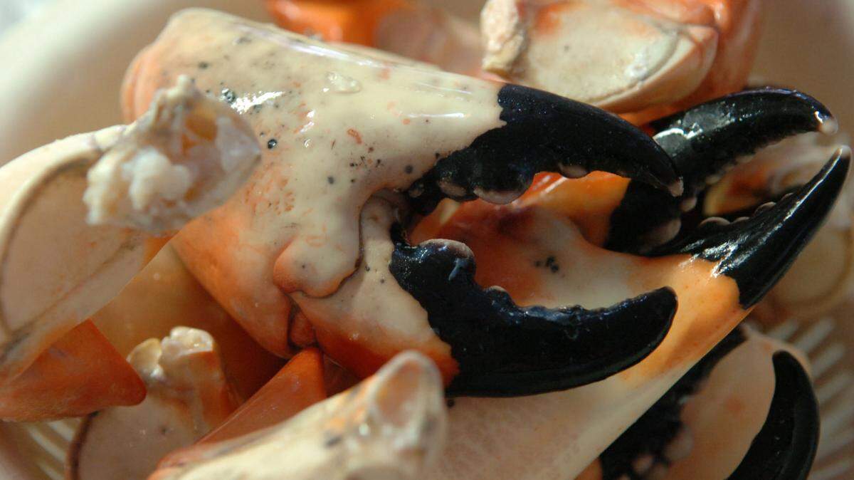 Stone crab claws are shown at the Star Fish Company Seafood Market & Restaurant in Cortez.File Photo-GRANT JEFFERIES/Bradenton Herald