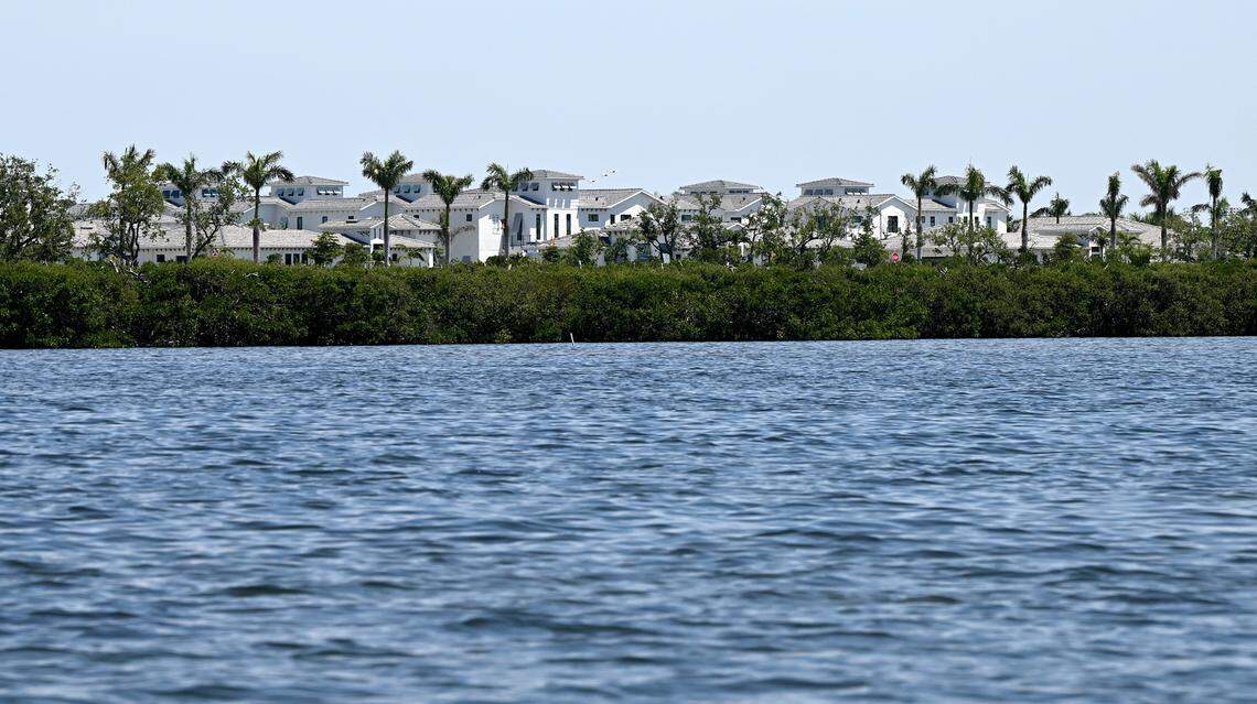 As Manatee County leaders prepared to restore local wetland protections, last-minute opposition by Florida officials forced them to delay their vote. Wetlands bordering the Aqua development in Bradenton are shown here on April 24, 2025.